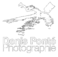Denis Ponté